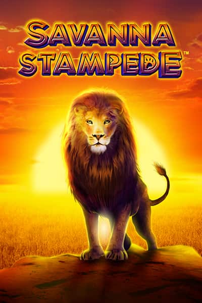 Savanna Stampede